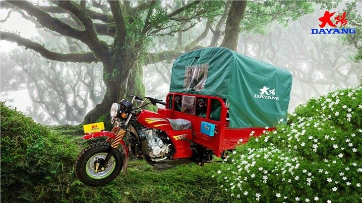 Cargo Tricycle Delivery Van with Canvas cheap