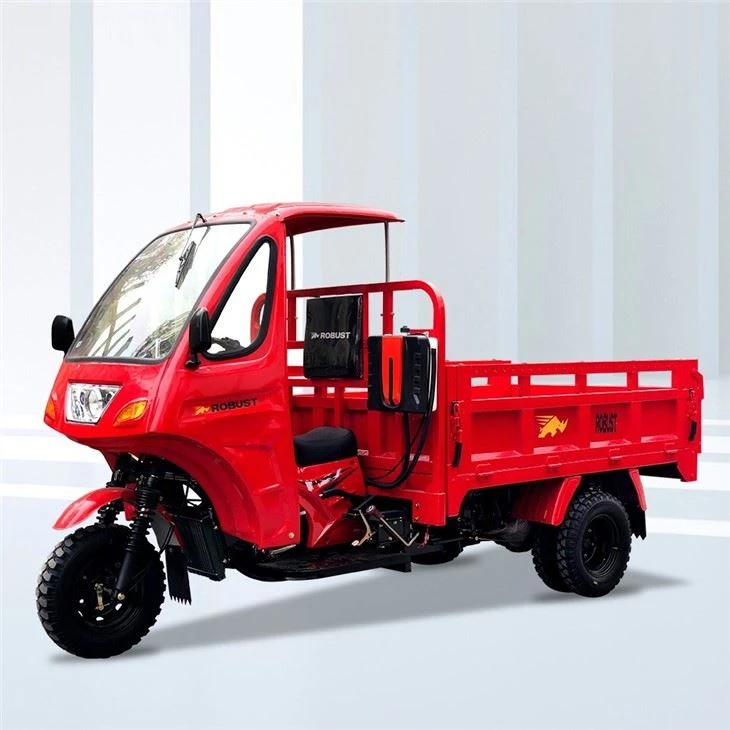 200 cc Dreirad Motorizado De Carga