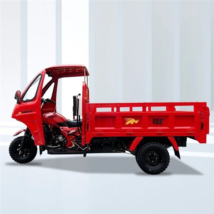 200cc Tricycle Motorizado De Carga