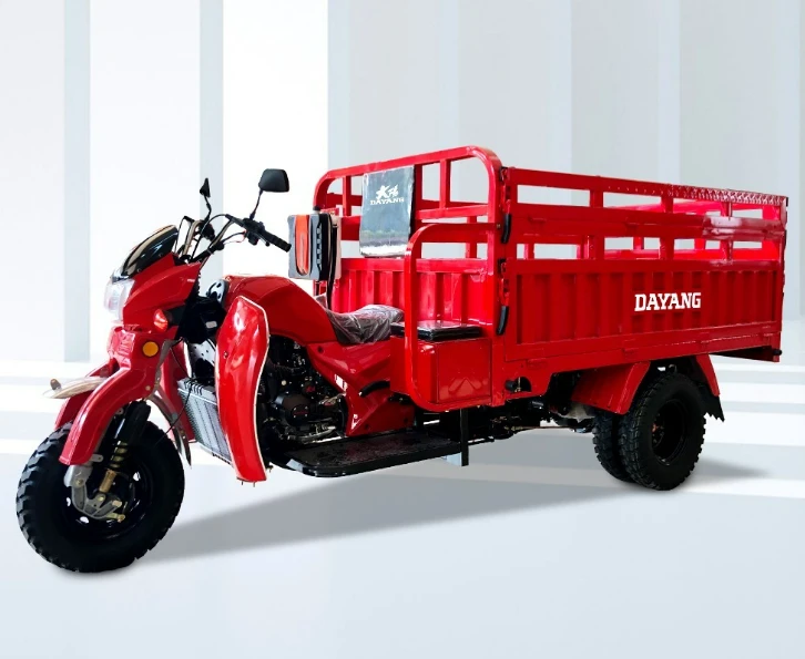 DY-XD1 China hot selling 200cc250cc300cc cargo tricycle